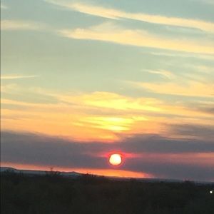 Meet your Posher, Dami